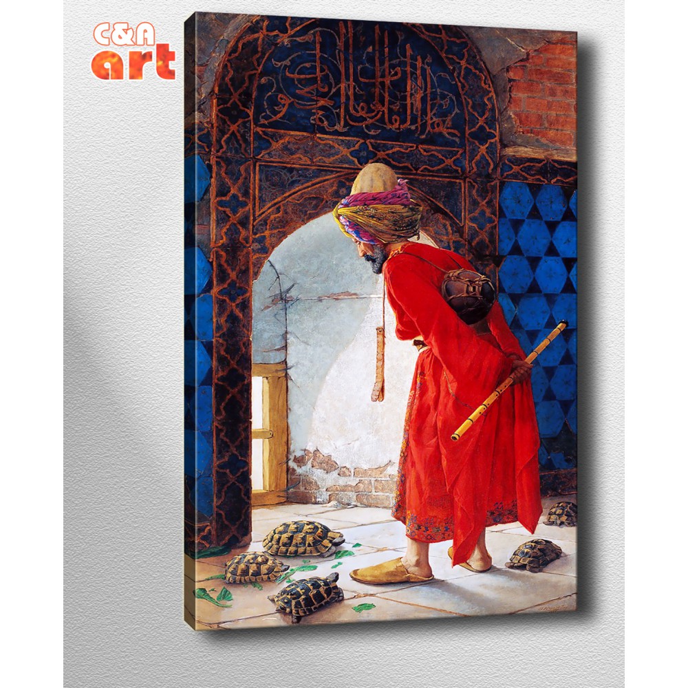 kt Kaplumbağa Terbiyecisi Kanvas Tablo