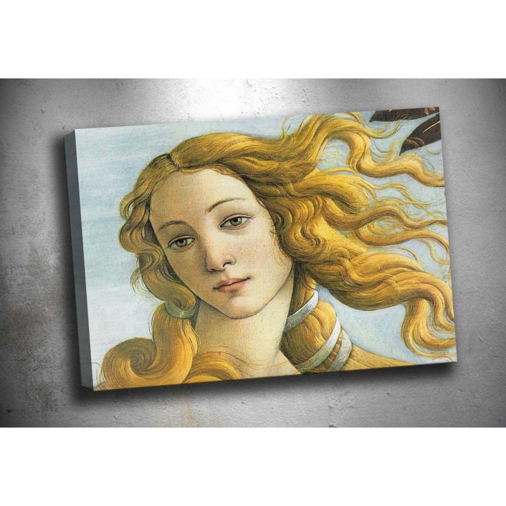 op164 The Birth Of Venus Yağlı Boya Reprodüksiyon Kanvas Tablo op164 The Birth Of Venus Yağlı Boya Reprodüksiyon Kanvas Tablo