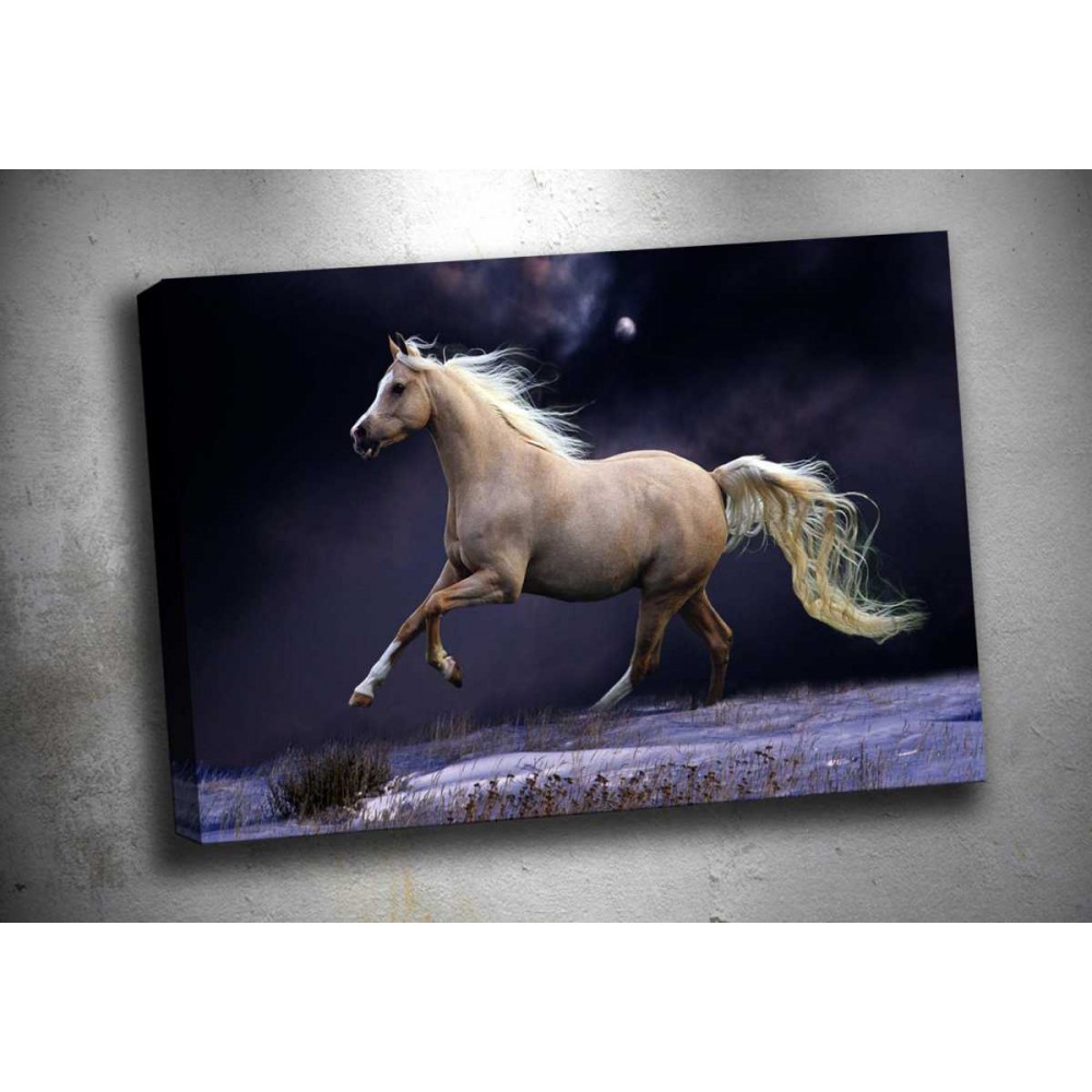 xa15 Atlar Kanvas Tablo