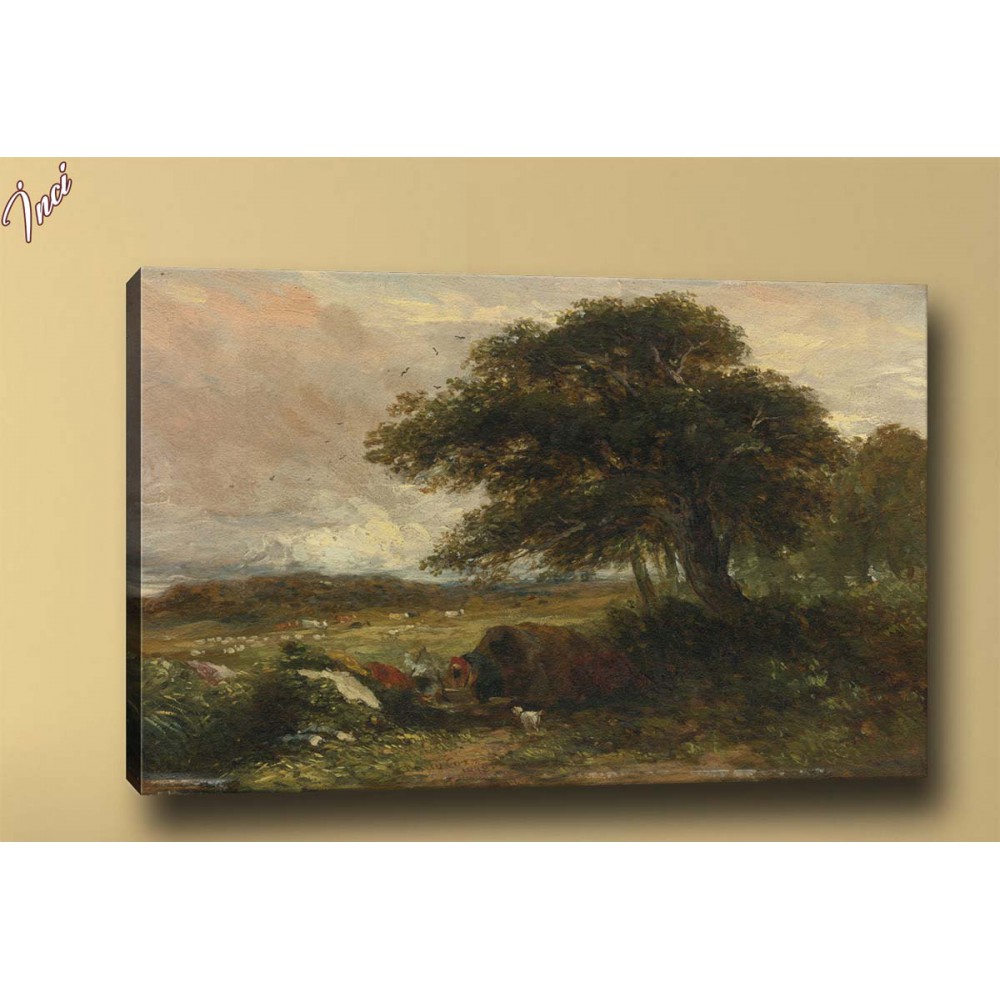 yb250 Orman Yağlı Boya Reprodüksiyon Kanvas Tablo